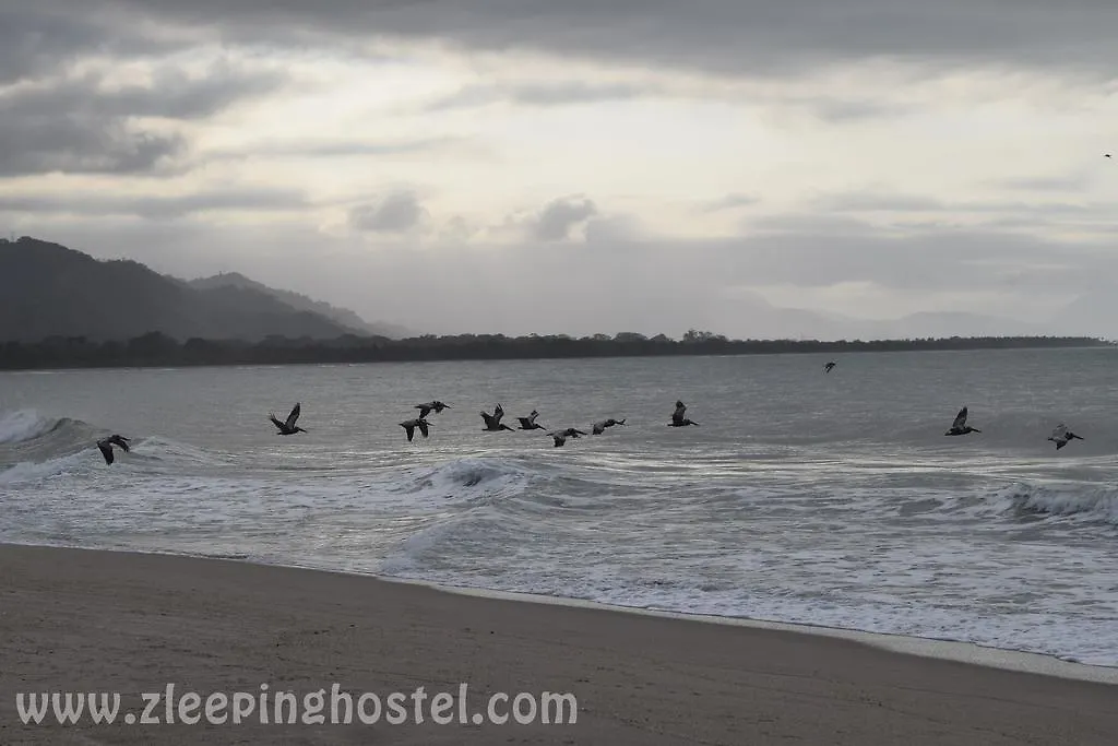 Zleeping Hostel Santa Marta